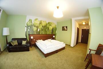Фото номера Двухместный номер с 1 кроватью Отель Hotel Neo Międzyrzecz г. Мендзыжеч 8